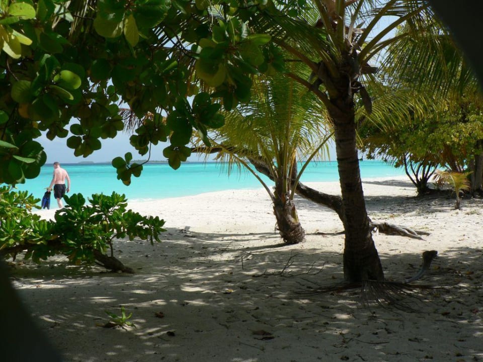 Blick von der Beachvilla Kuredu Island Resort & Spa