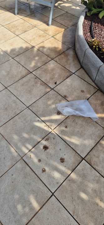 Pool allsun App.-Hotel Esquinzo Beach