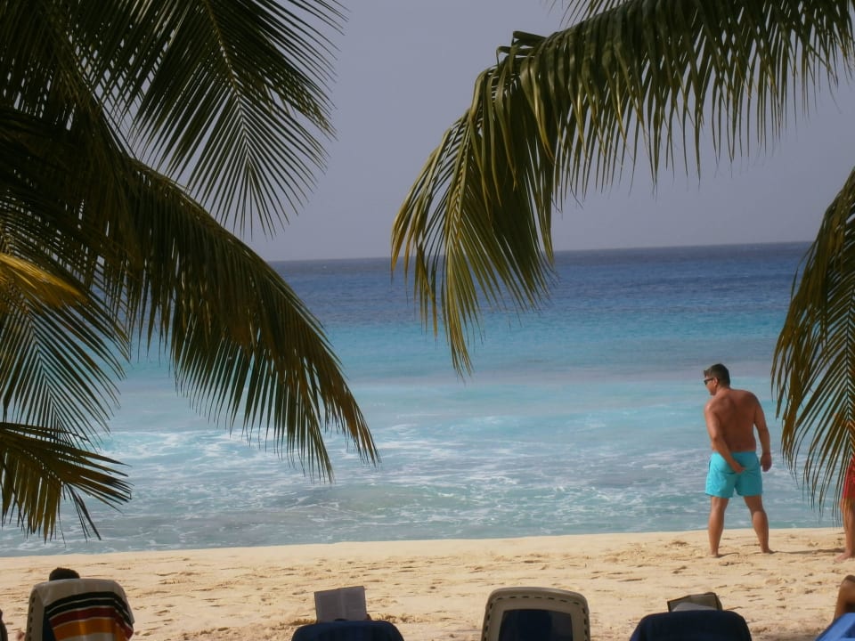 Vom Campingbett aufs Meer Hotel Viva Dominicus Palace by Wyndham-All Inclusive Resort