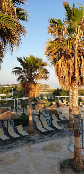 Sonstiges Atlantica Plimmiri