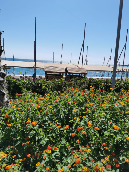 Ausblick Arycanda Kirman Premium