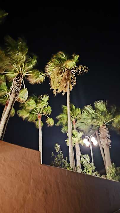 Außenansicht Sotavento Beach Club