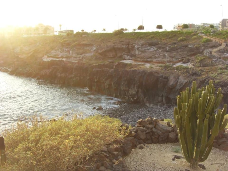 Felsiger Hotelstrand Bahia Principe Sunlight Costa Adeje