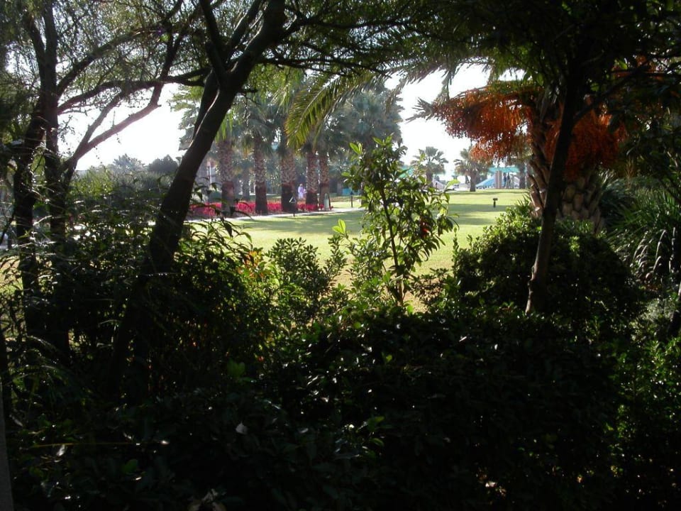 Blick ins Grüne Megasaray Club Belek