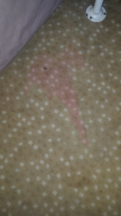 Zimmer Asteria Collection Side