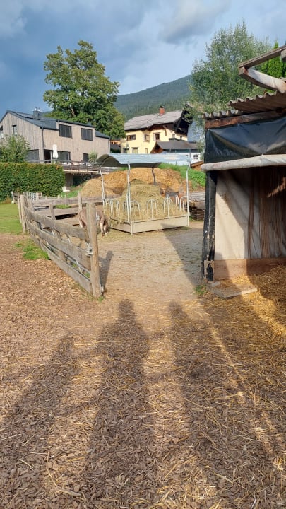 Gartenanlage THE MATTHEW - Copper Lodge