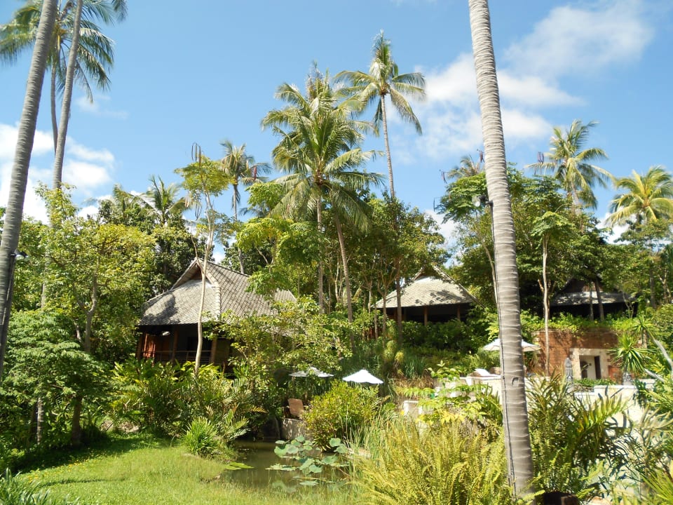 Anlage Kamalaya Wellness Sanctuary & Holistic Spa Resort