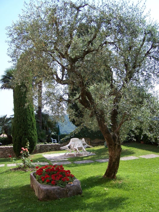 Ruhige Sitzplätze Ferienanlage La Filanda