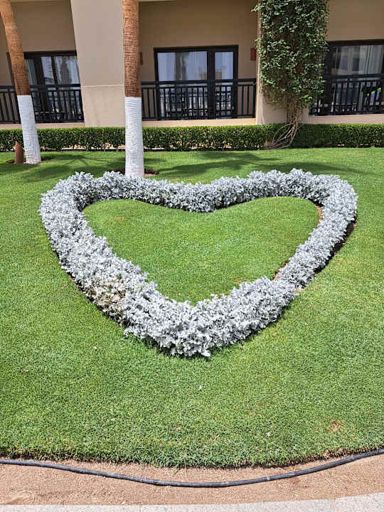 Außenansicht Steigenberger Aqua Magic