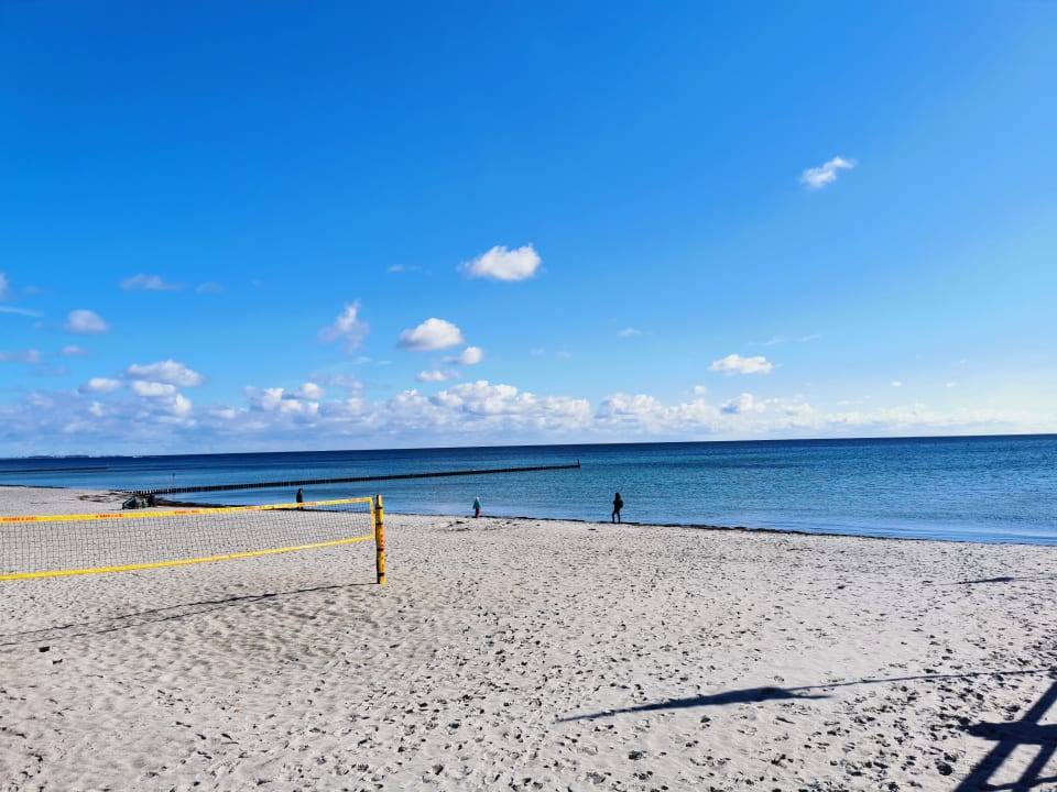 Strand Ferienwohnung Möwennest 12 Ostseetraum