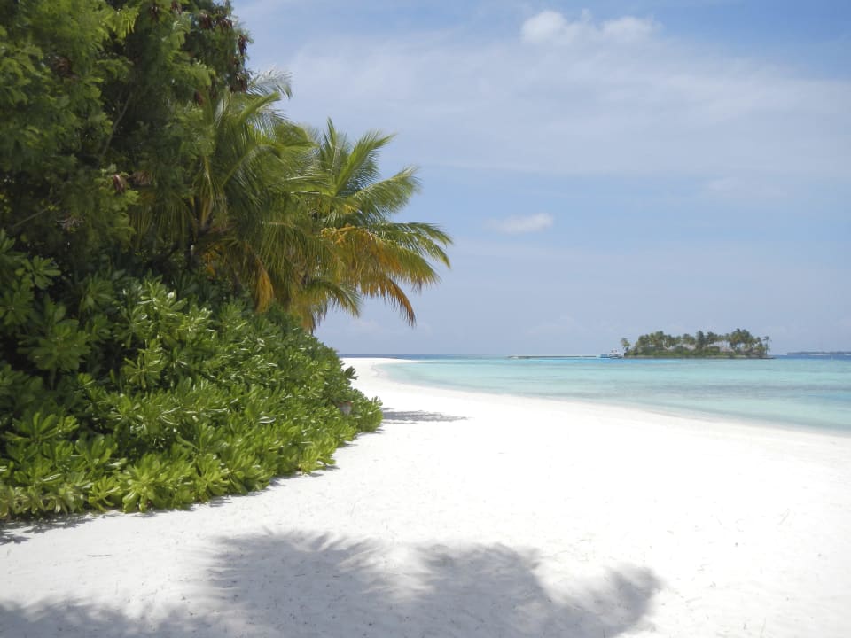Mein Lieblingsmotiv  Veligandu Maldives Resort Island