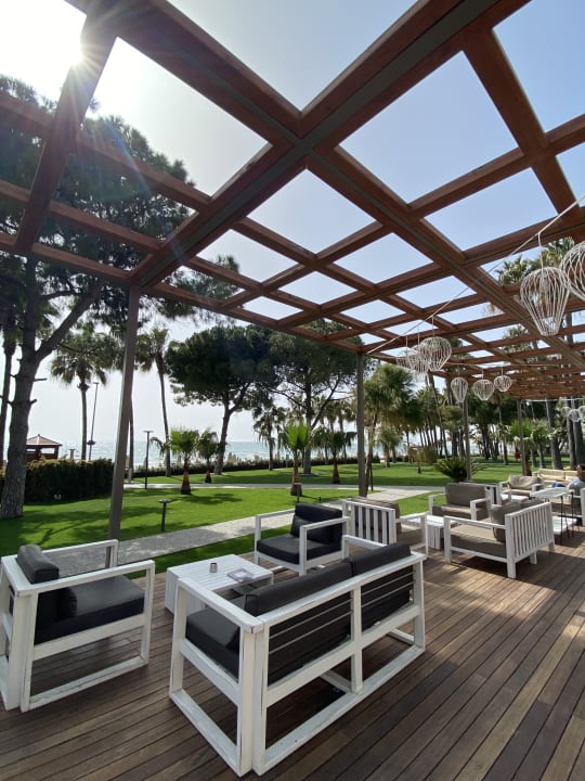 Gastro Acanthus Cennet Barut Collection