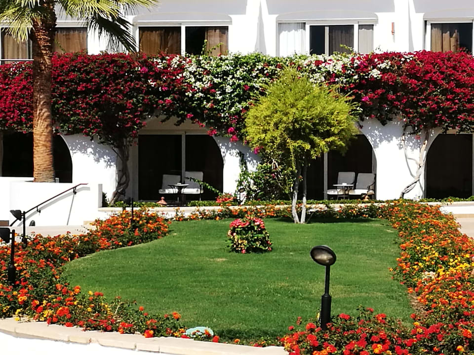 Gartenanlage Iberotel Palace