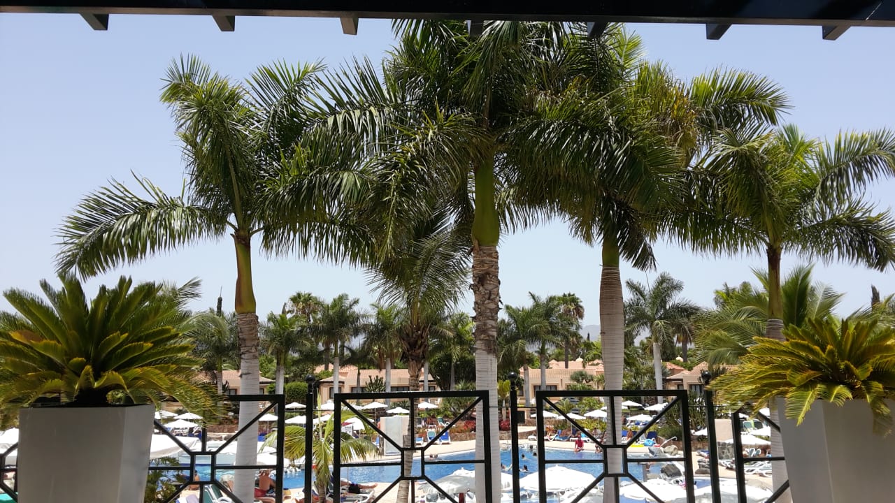Ausblick allsun Hotel Esplendido