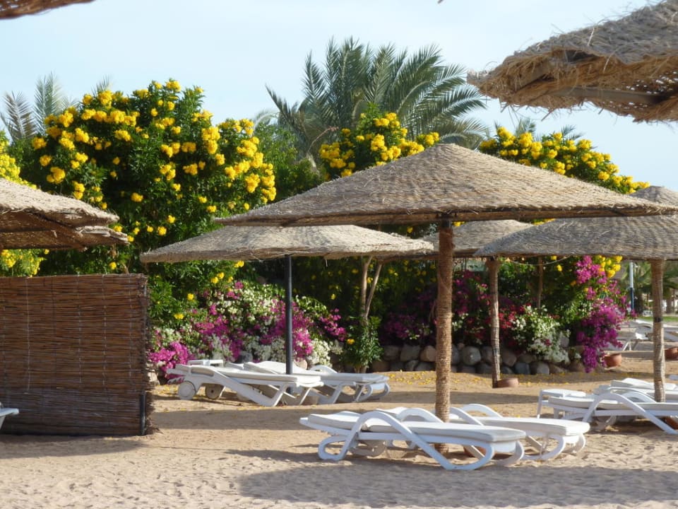 Kleines Stück vom Strand Fort Arabesque Resort, Spa & Villas
