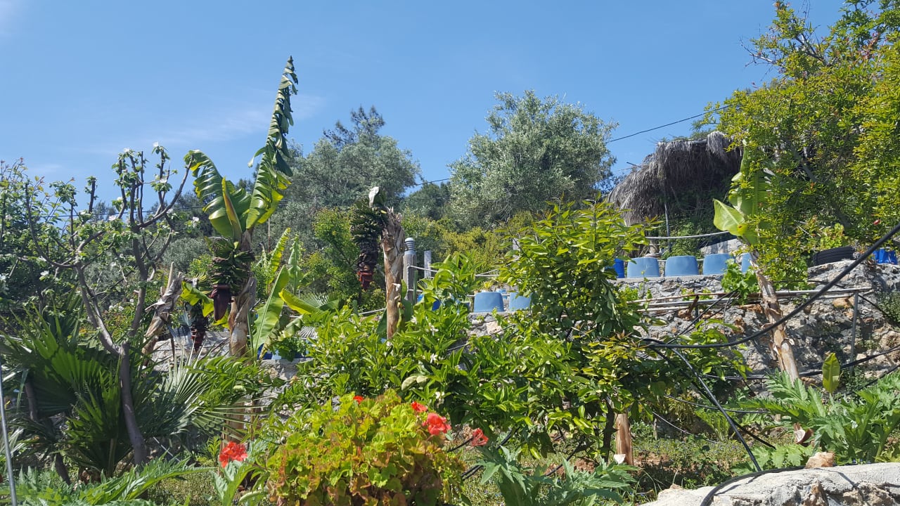 Gartenanlage Alaiye Resort & Spa