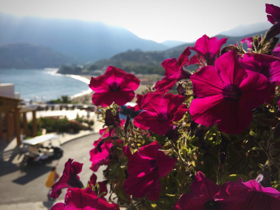 Gartenanlage Fodele Beach & Water Park Holiday Resort