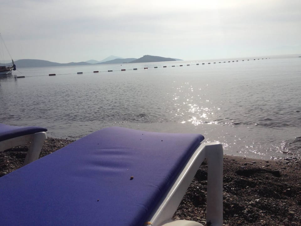 Hotel beach Petunya Beach Resort