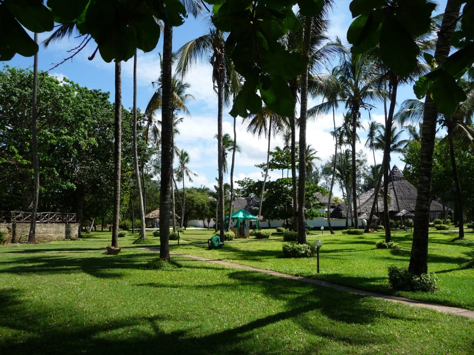 Handtuchausgabe unter Palmen Neptune Village Beach Resort & Spa