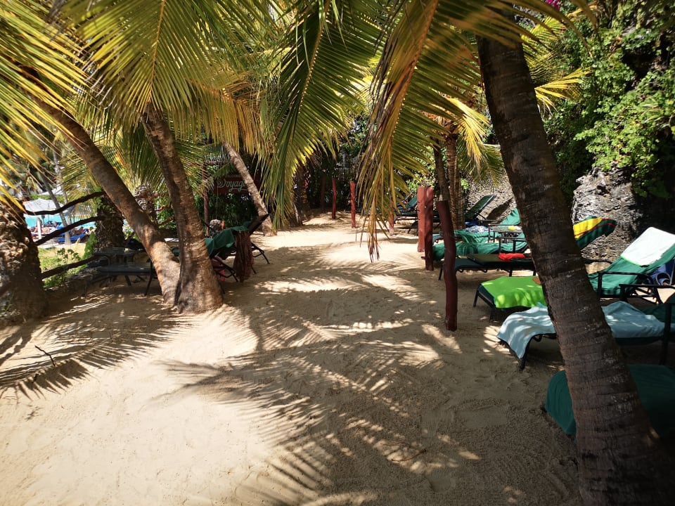 Gartenanlage Bahari Beach Hotel