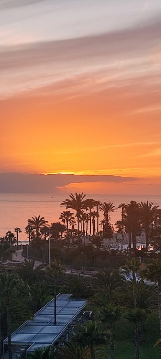 Pool Hotel Riu Palace Tenerife