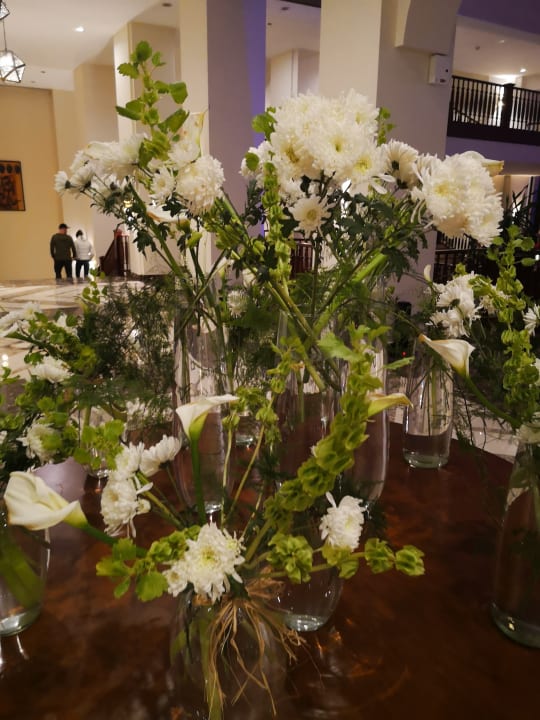 Sonstiges Steigenberger Aqua Magic