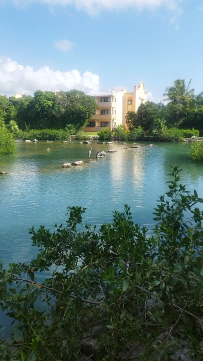 Gartenanlage Grand Palladium Kantenah Resort & Spa