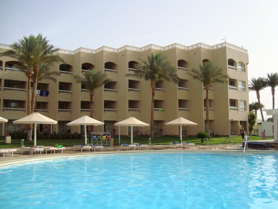 Pool Beach Albatros Resort