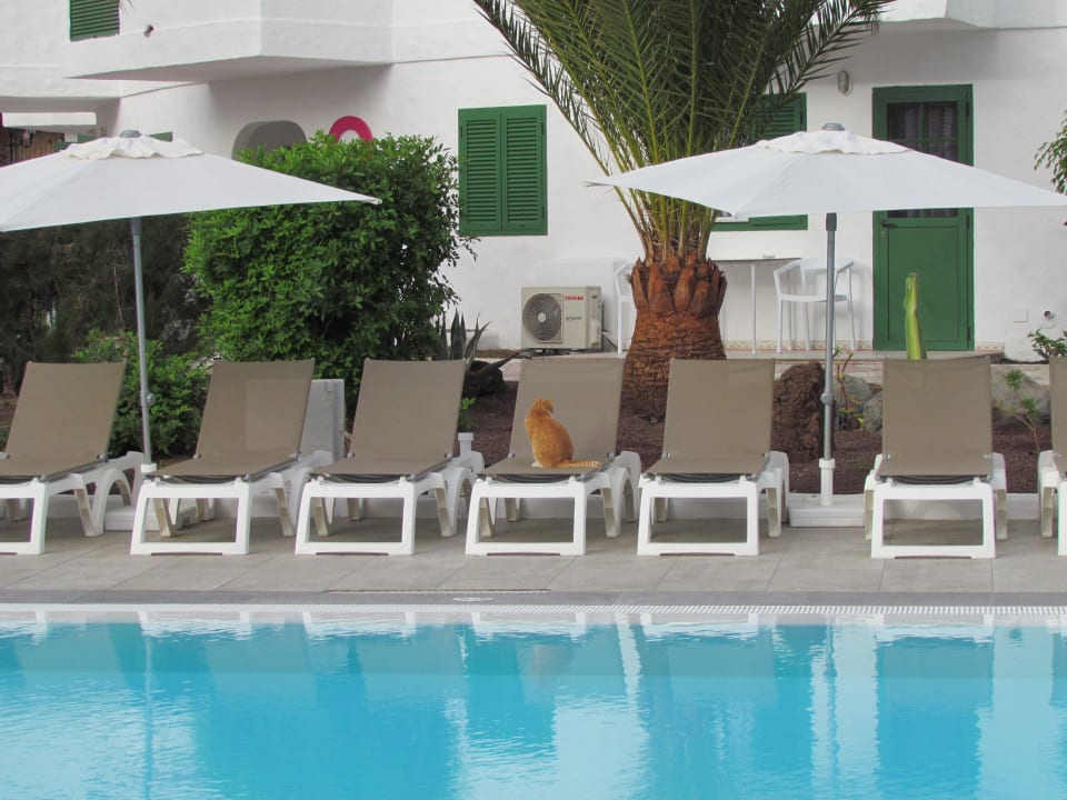 Playa Bonita Servatur Playa Bonita