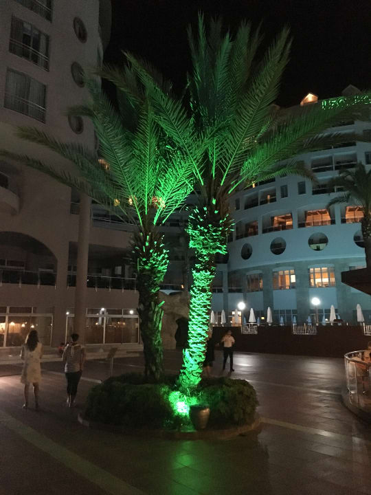 Sonstiges Arycanda Kirman Premium