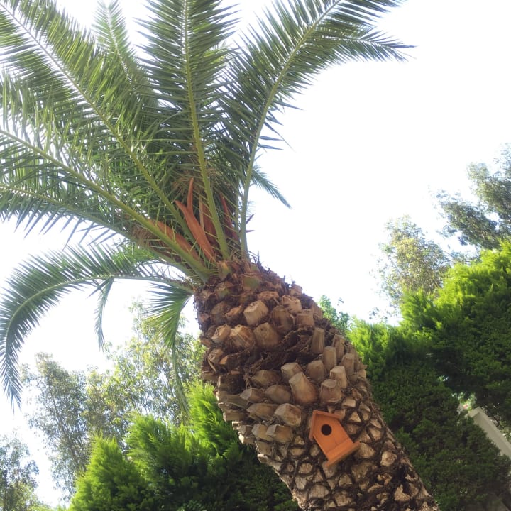 Gartenanlage Melas Resort Hotel