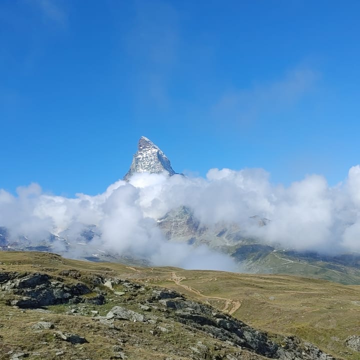 Zimmer Hotel Butterfly, BW Signature Collection Hotel