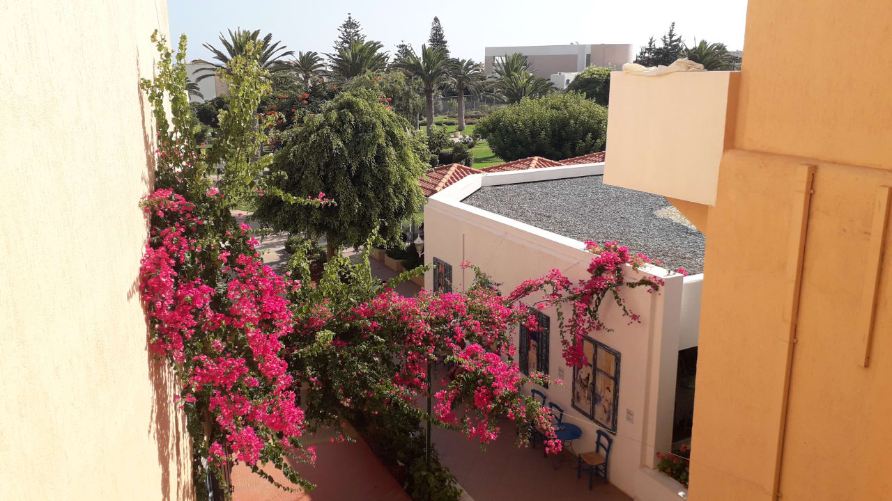 Ausblick Anissa Beach & Village