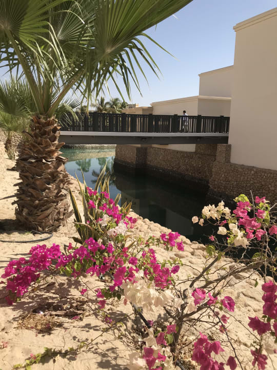 Gartenanlage Salalah Rotana Resort