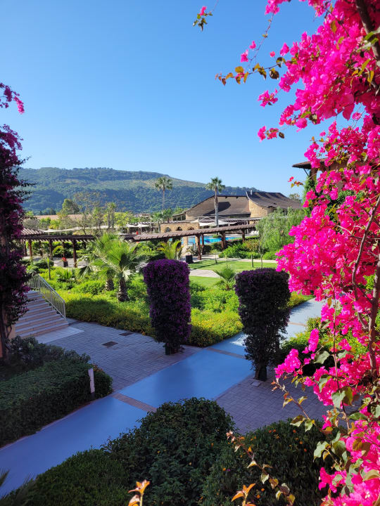 Gartenanlage TUI MAGIC LIFE Calabria