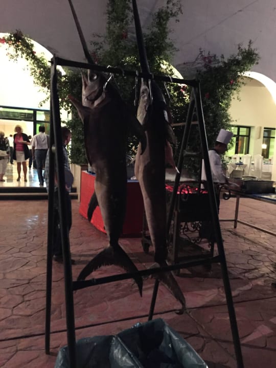 Schwertfisch zum Abendessen Fantazia Resort Marsa Alam