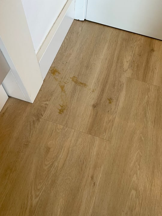 Zimmer allsun App.-Hotel Orient Beach