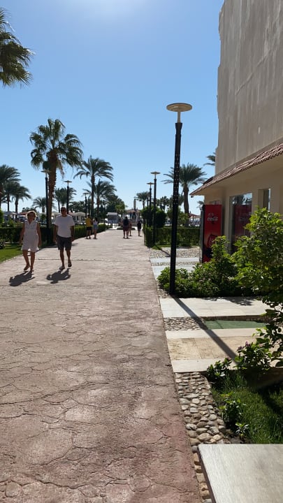 Gartenanlage Amarina Abu Soma Resort & Aquapark