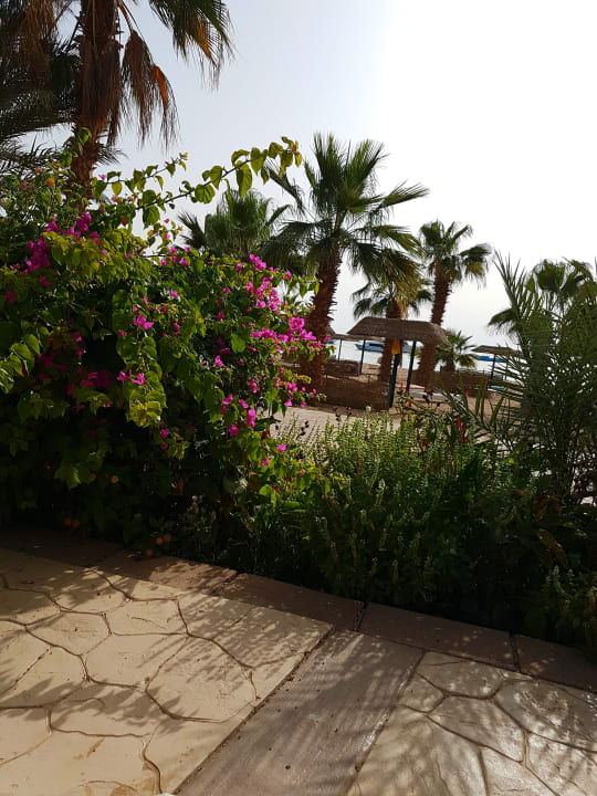 Gartenanlage Lotus Bay Beach Resort