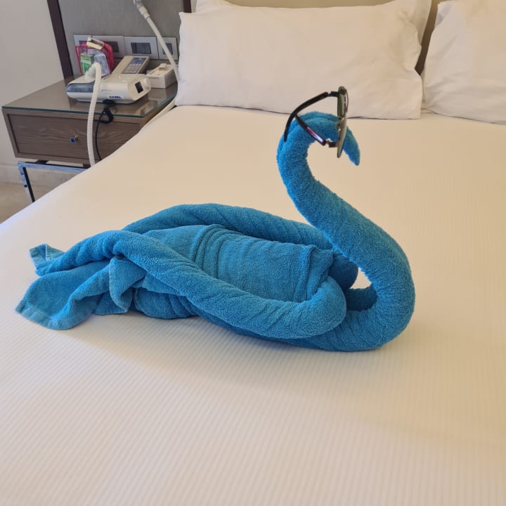 Zimmer Hilton Hurghada Plaza