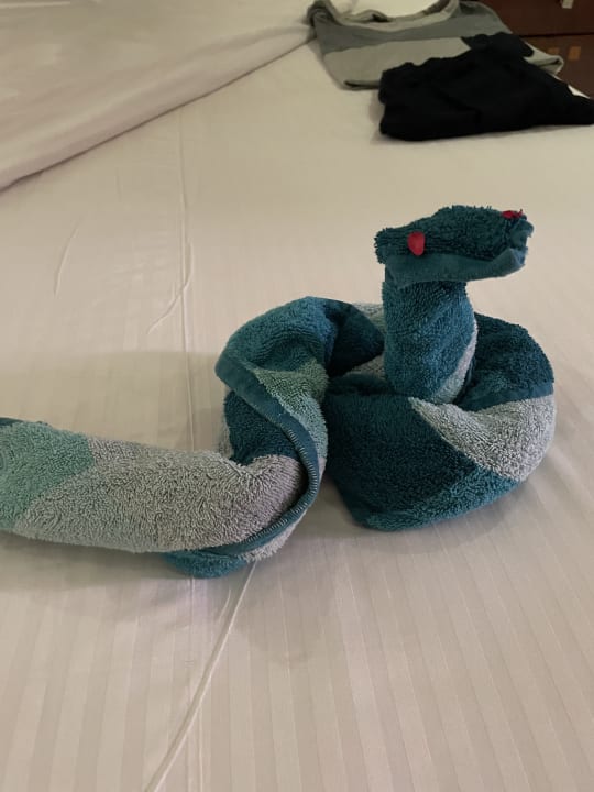 Zimmer Shams Prestige Abu Soma-Adults Only