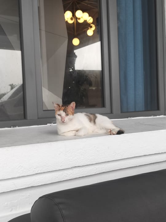 Sonstiges Hotel Riu Palace Punta Cana