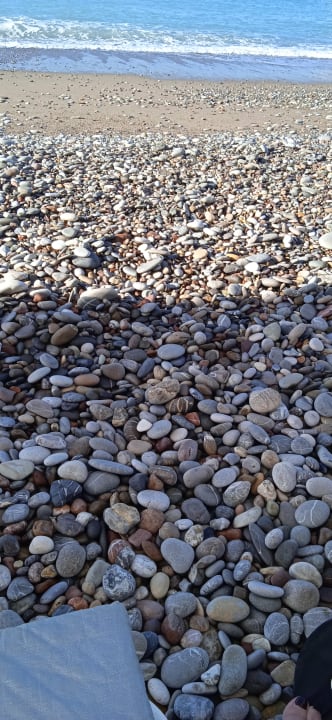 Strand Hotel Botanik Platinum