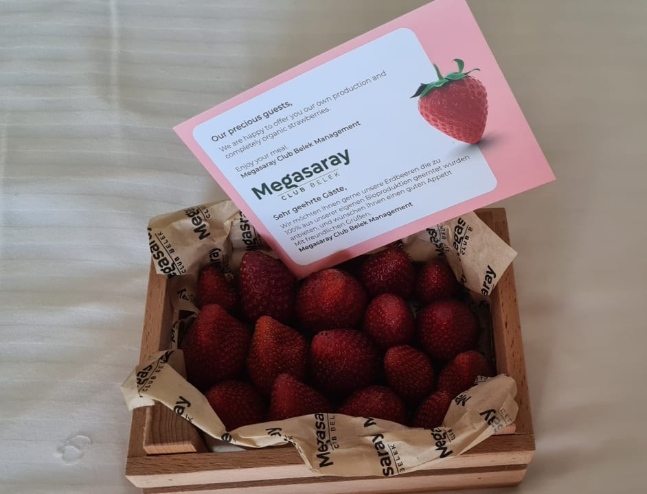 Gastro Megasaray Club Belek