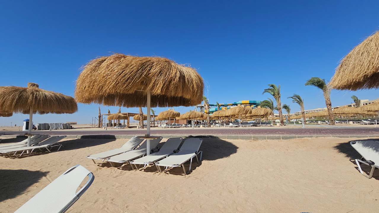 Strand JAZ Elite Asteria
