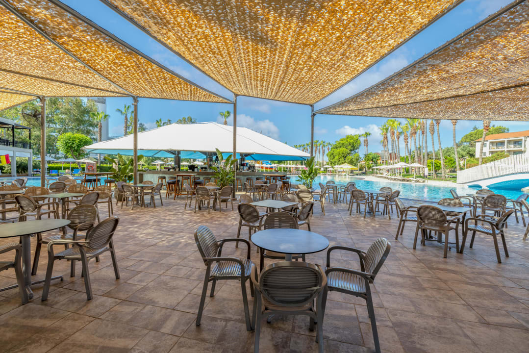 Gastro Arum Barut Collection