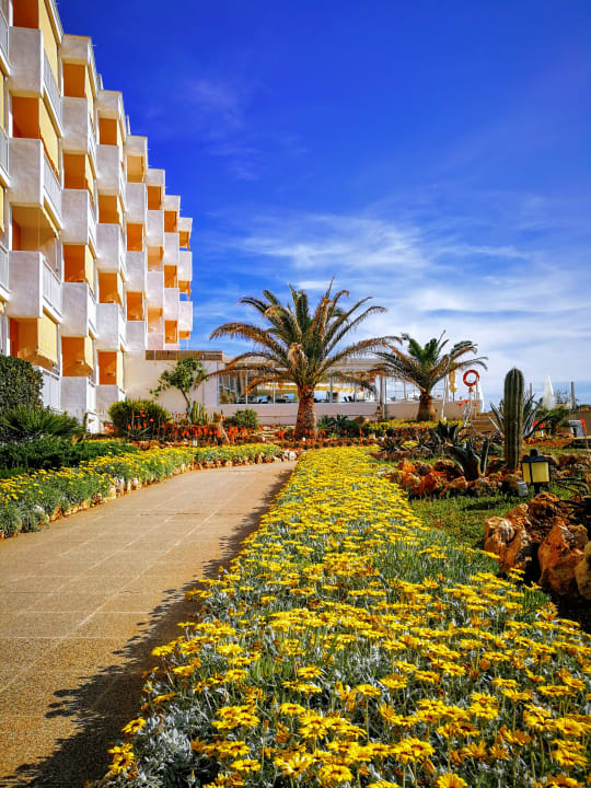 Gartenanlage Universal Hotel Cabo Blanco - Adults Only