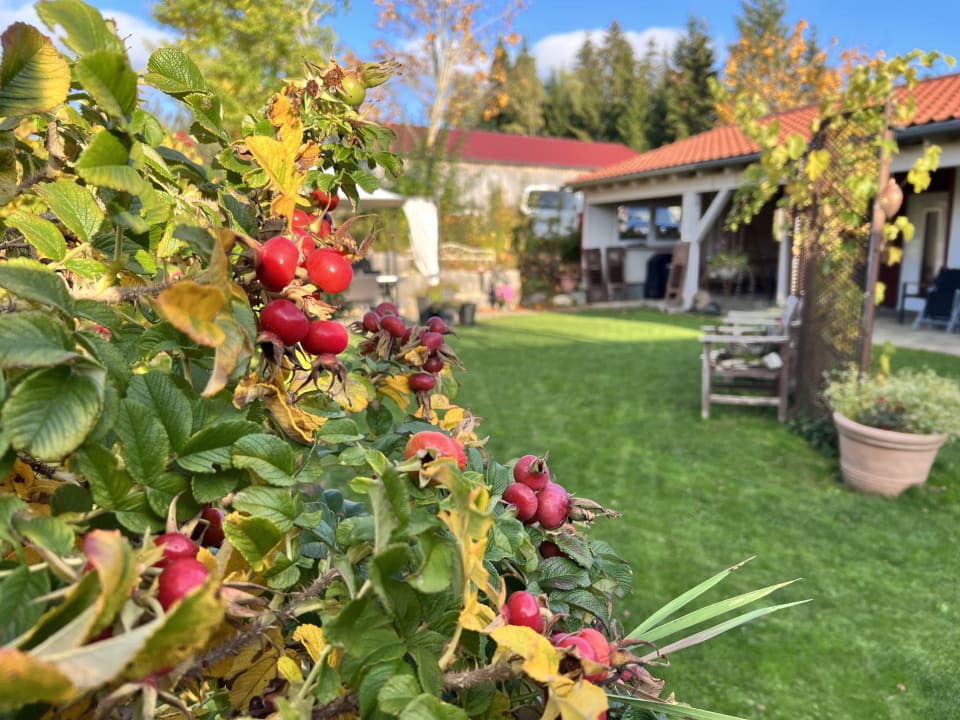 Gartenanlage Urlaubsidylle-Alb