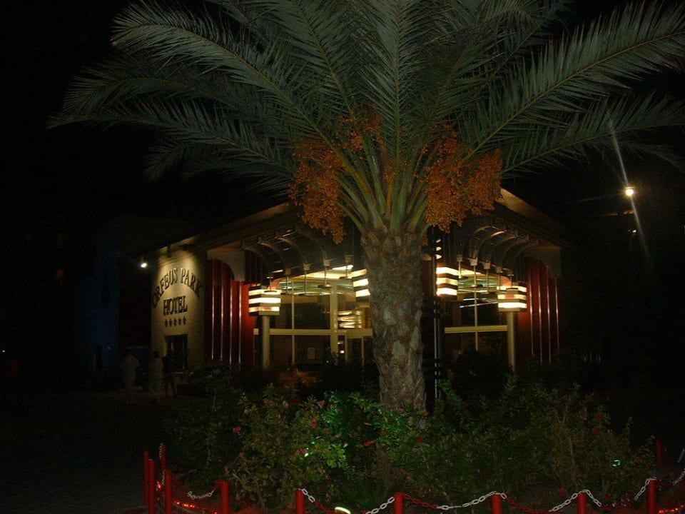 Nachts alles schön beleuchtet Hotel Orfeus Park