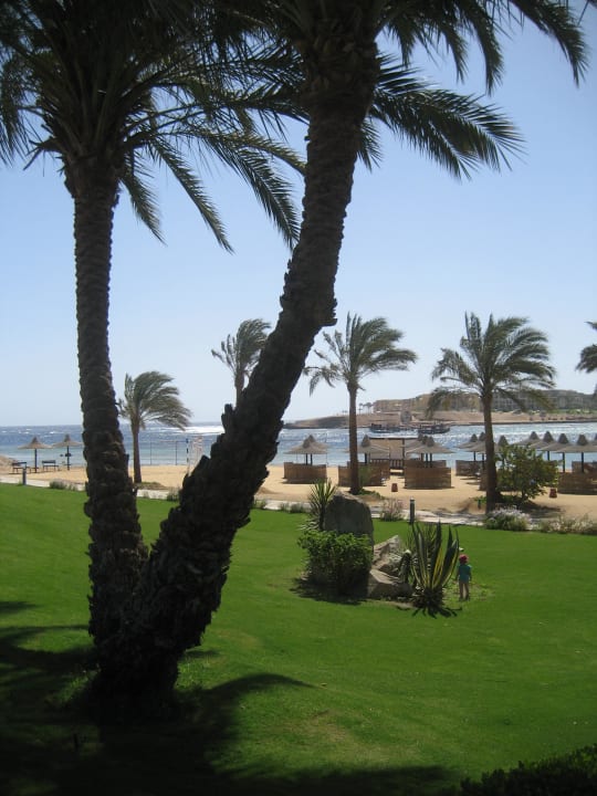 Blick auf Hotelstrand Steigenberger Coraya Beach - Adults only